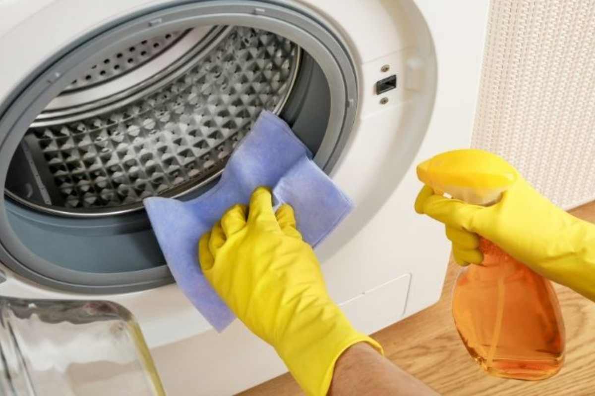 Persona pulisce guarnizione lavatrice