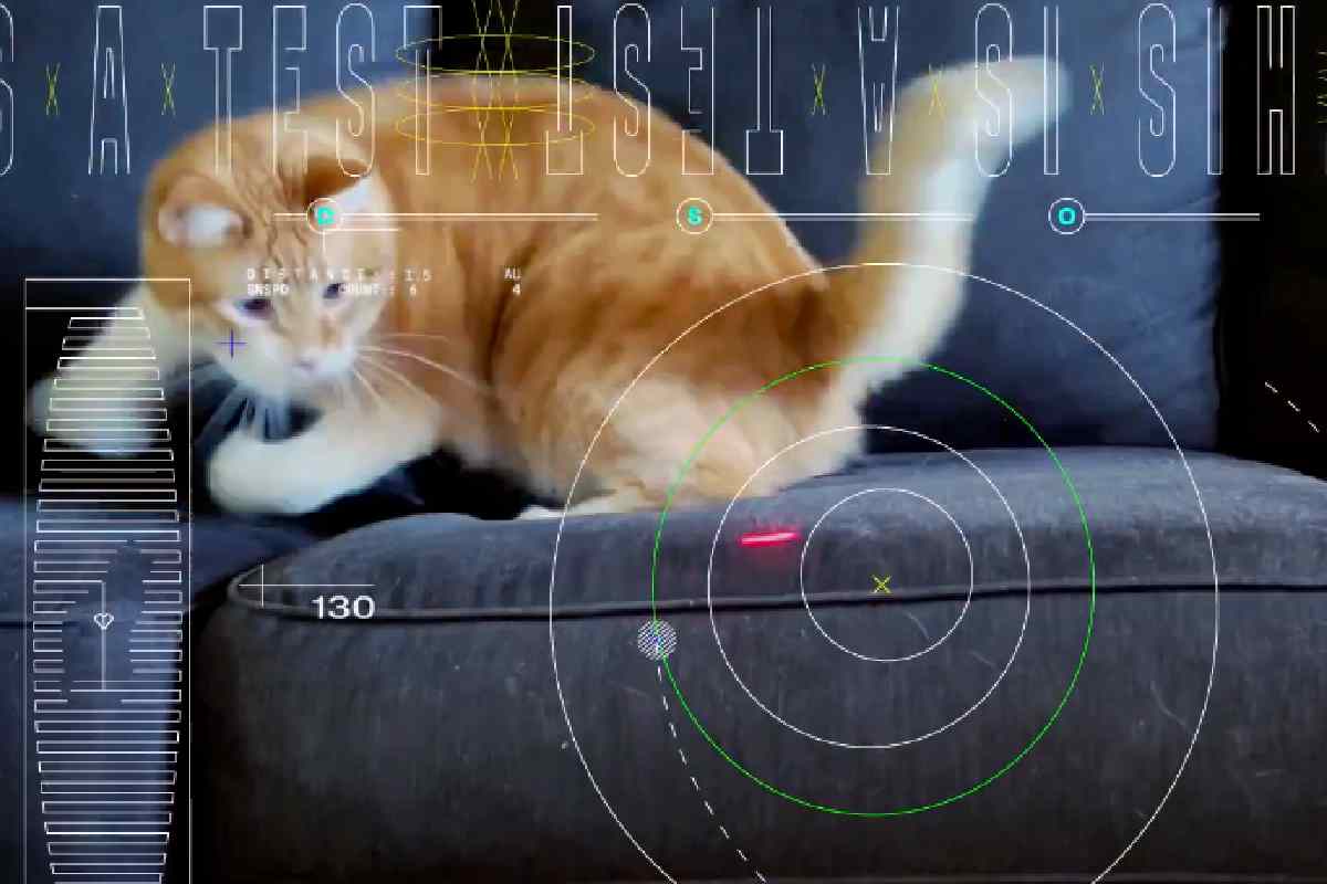 Video del gatto Taters che gioca con il laser uscito dalla Terra grazie alla NASA